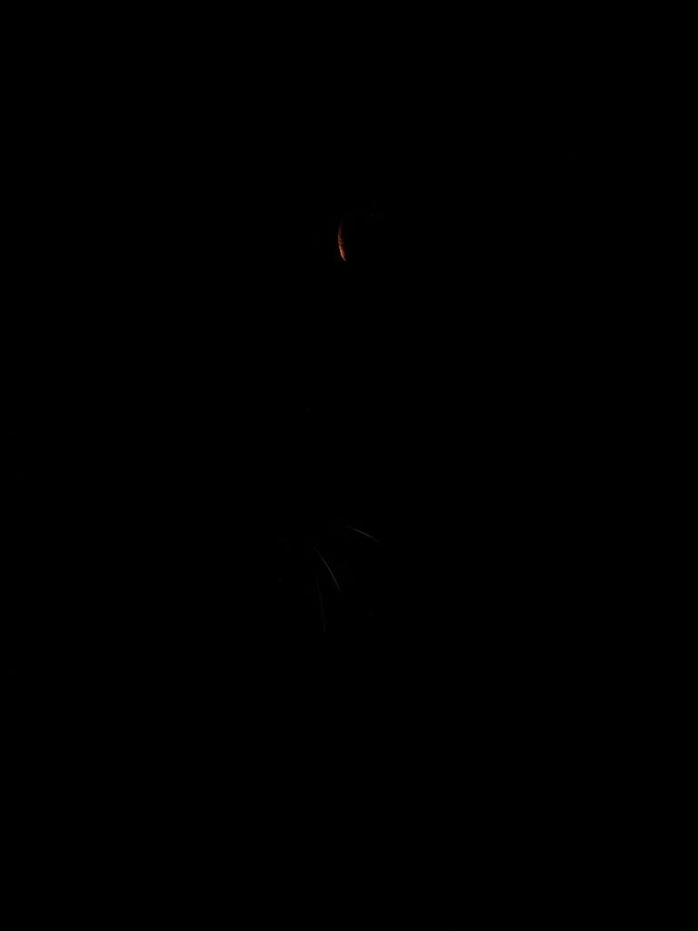 A curious cat peeking in from the dark on the left, beside the productions